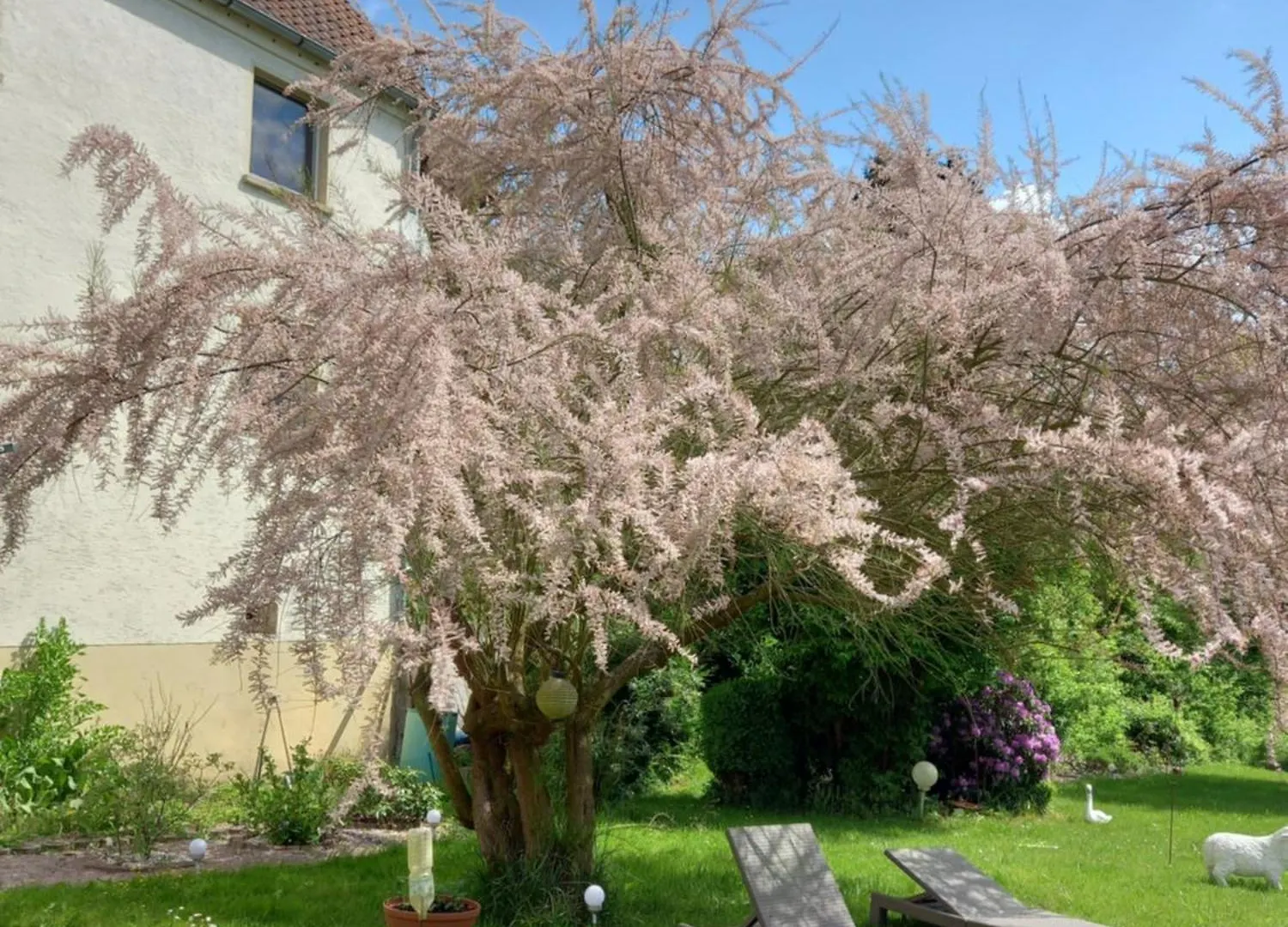Sylvias Burgblick Apartment Trausnitz Germany